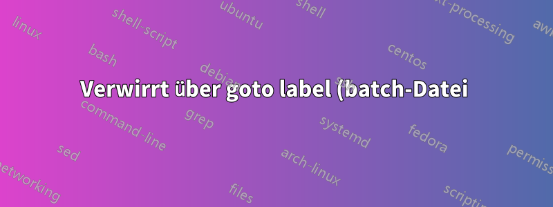 Verwirrt über goto label (batch-Datei) Windows