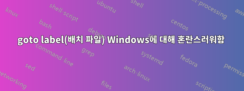 goto label(배치 파일) Windows에 대해 혼란스러워함