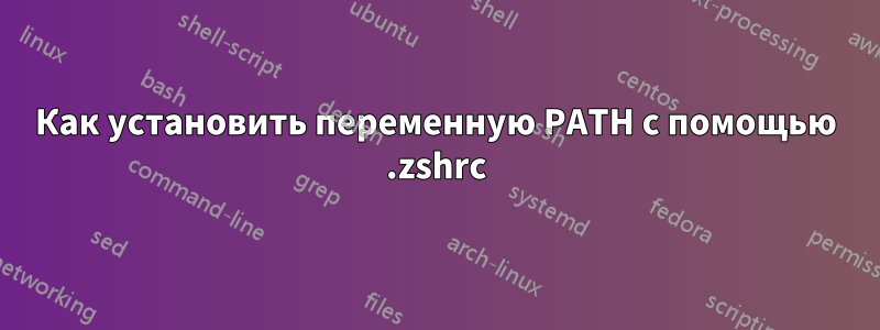 Как установить переменную PATH с помощью .zshrc