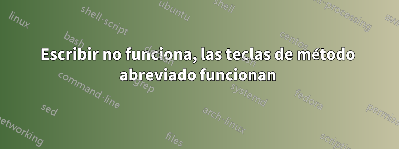 Escribir no funciona, las teclas de método abreviado funcionan