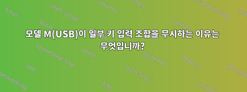 모델 M(USB)이 일부 키 입력 조합을 무시하는 이유는 무엇입니까?