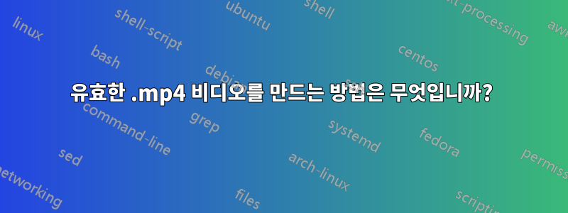 유효한 .mp4 비디오를 만드는 방법은 무엇입니까?