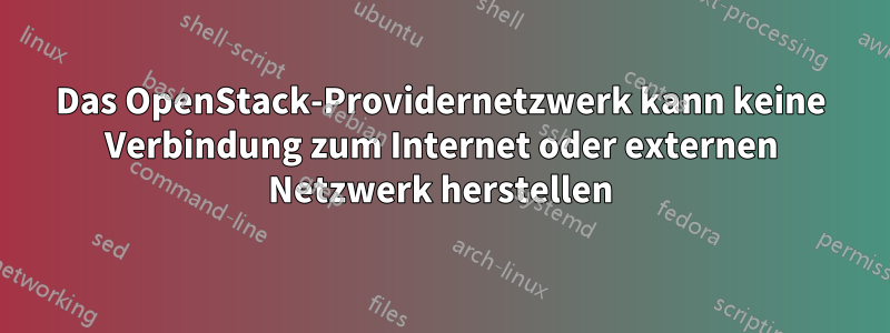 Das OpenStack-Providernetzwerk kann keine Verbindung zum Internet oder externen Netzwerk herstellen