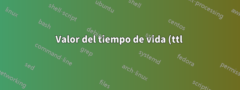 Valor del tiempo de vida (ttl) en redes informáticas IP DATAGRAM