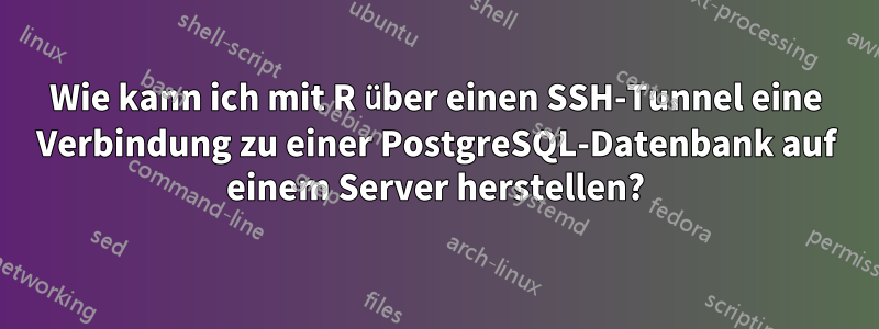 Wie kann ich mit R über einen SSH-Tunnel eine Verbindung zu einer PostgreSQL-Datenbank auf einem Server herstellen?