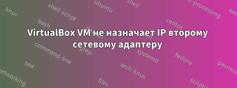 VirtualBox VM не назначает IP второму сетевому адаптеру