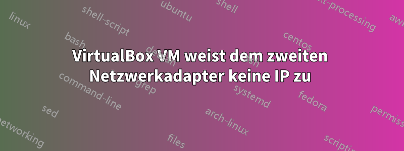 VirtualBox VM weist dem zweiten Netzwerkadapter keine IP zu