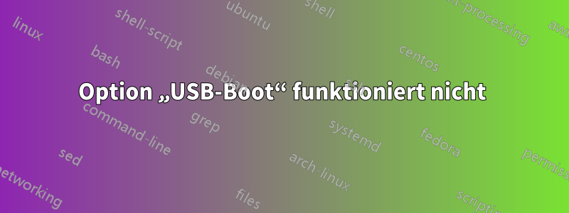 Option „USB-Boot“ funktioniert nicht