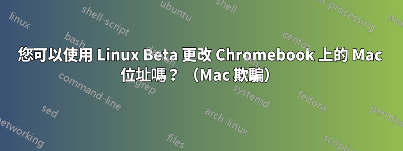 您可以使用 Linux Beta 更改 Chromebook 上的 Mac 位址嗎？ （Mac 欺騙）