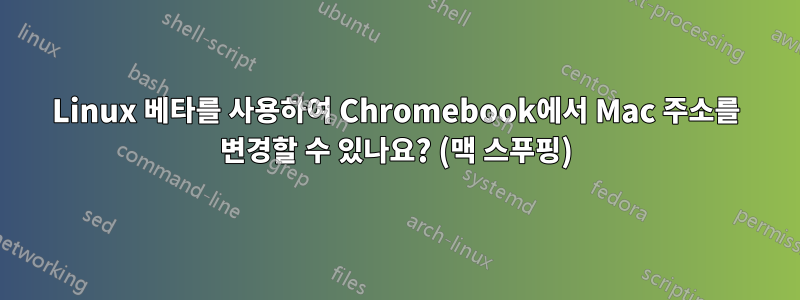 Linux 베타를 사용하여 Chromebook에서 Mac 주소를 변경할 수 있나요? (맥 스푸핑)