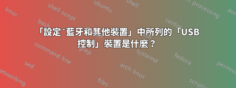 「設定˘藍牙和其他裝置」中所列的「USB 控制」裝置是什麼？