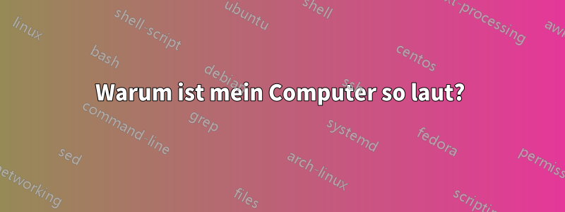Warum ist mein Computer so laut?