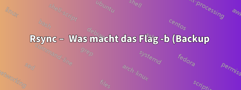 Rsync – Was macht das Flag -b (Backup) konkret?