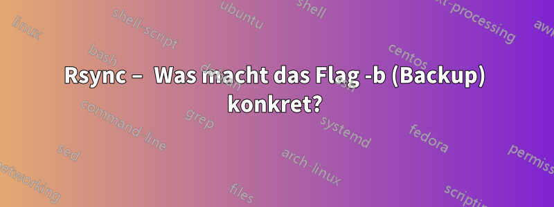 Rsync – Was macht das Flag -b (Backup) konkret?