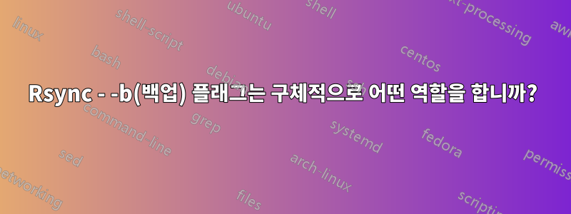 Rsync - -b(백업) 플래그는 구체적으로 어떤 역할을 합니까?