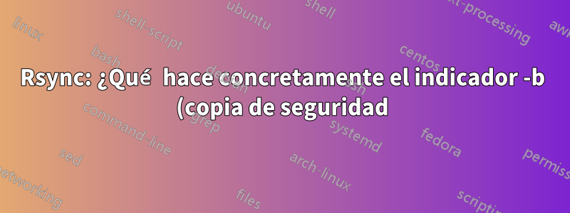 Rsync: ¿Qué hace concretamente el indicador -b (copia de seguridad)?