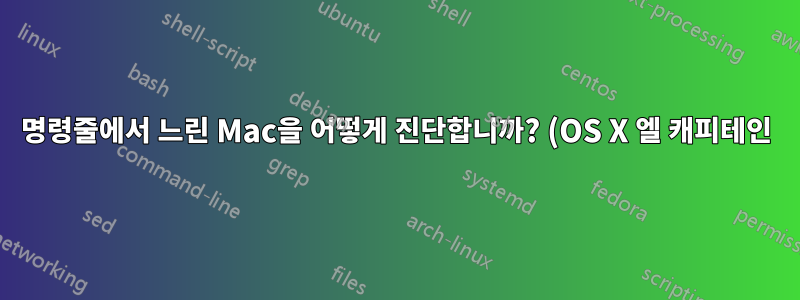 명령줄에서 느린 Mac을 어떻게 진단합니까? (OS X 엘 캐피테인)