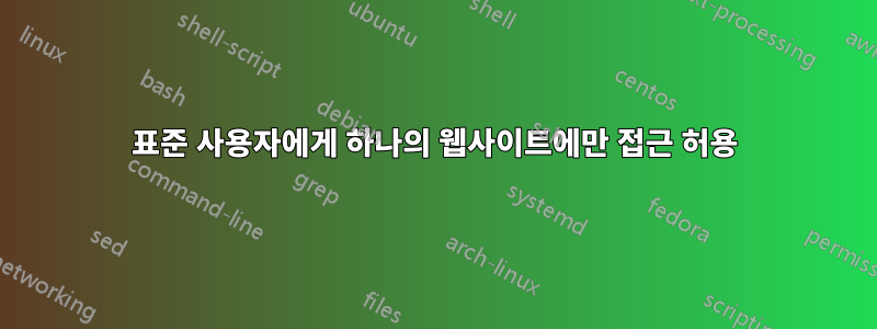 표준 사용자에게 하나의 웹사이트에만 접근 허용