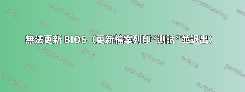 無法更新 BIOS（更新檔案列印“測試”並退出）