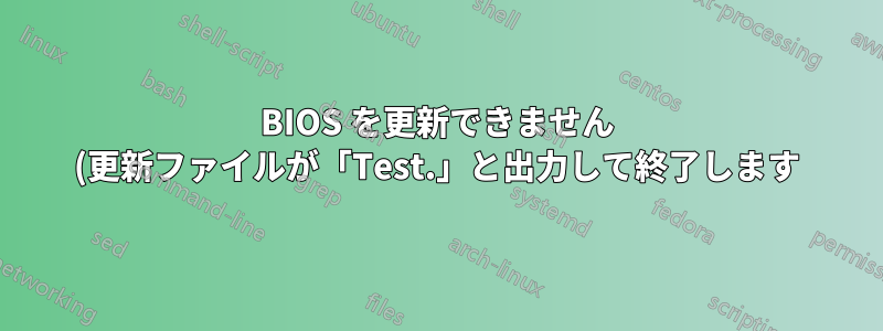 BIOS を更新できません (更新ファイルが「Test.」と出力して終了します)