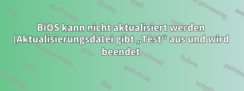 BIOS kann nicht aktualisiert werden (Aktualisierungsdatei gibt „Test“ aus und wird beendet)