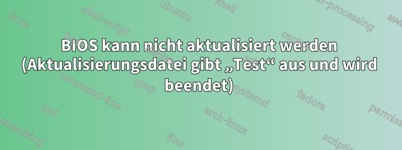 BIOS kann nicht aktualisiert werden (Aktualisierungsdatei gibt „Test“ aus und wird beendet)