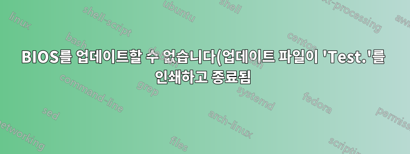 BIOS를 업데이트할 수 없습니다(업데이트 파일이 'Test.'를 인쇄하고 종료됨)