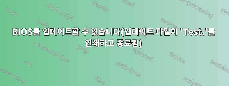 BIOS를 업데이트할 수 없습니다(업데이트 파일이 'Test.'를 인쇄하고 종료됨)
