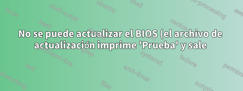 No se puede actualizar el BIOS (el archivo de actualización imprime 'Prueba' y sale)
