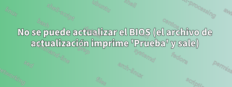 No se puede actualizar el BIOS (el archivo de actualización imprime 'Prueba' y sale)