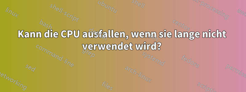 Kann die CPU ausfallen, wenn sie lange nicht verwendet wird?