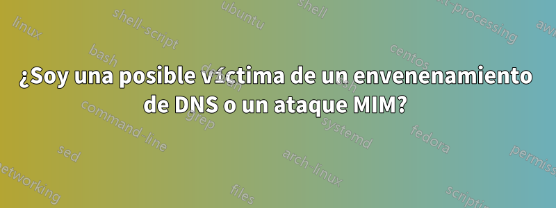 ¿Soy una posible víctima de un envenenamiento de DNS o un ataque MIM?