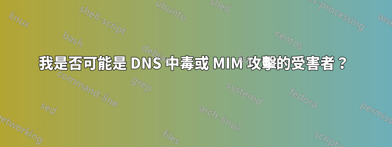 我是否可能是 DNS 中毒或 MIM 攻擊的受害者？