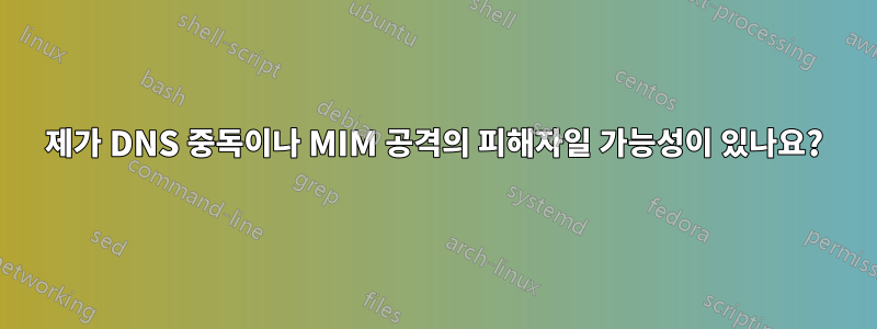 제가 DNS 중독이나 MIM 공격의 피해자일 가능성이 있나요?