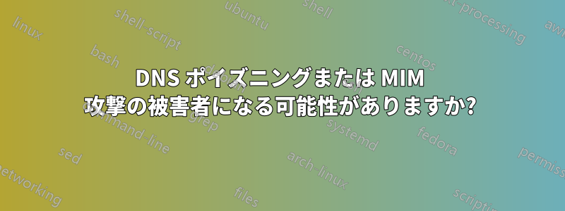 DNS ポイズニングまたは MIM 攻撃の被害者になる可能性がありますか?