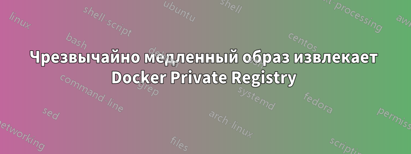 Чрезвычайно медленный образ извлекает Docker Private Registry