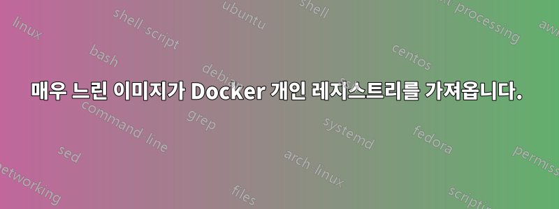 매우 느린 이미지가 Docker 개인 레지스트리를 가져옵니다.