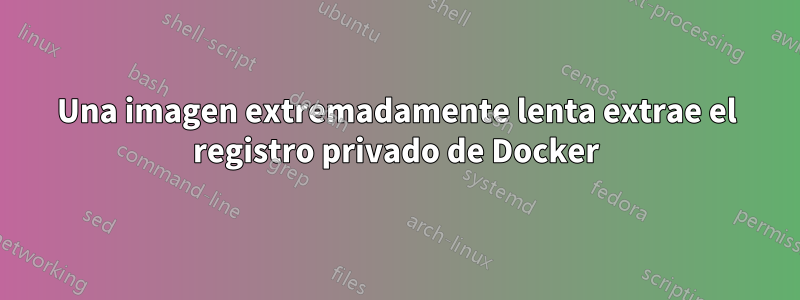 Una imagen extremadamente lenta extrae el registro privado de Docker