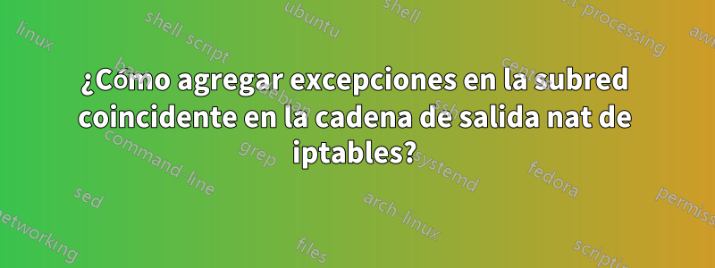 ¿Cómo agregar excepciones en la subred coincidente en la cadena de salida nat de iptables?