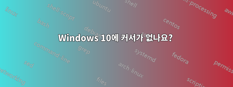 Windows 10에 커서가 없나요?