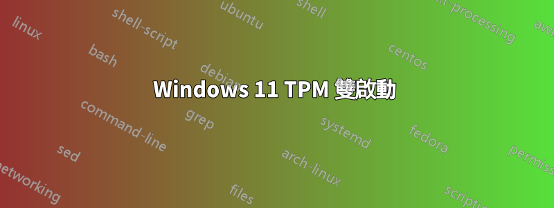 Windows 11 TPM 雙啟動