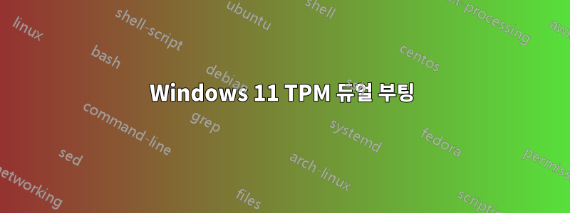 Windows 11 TPM 듀얼 부팅