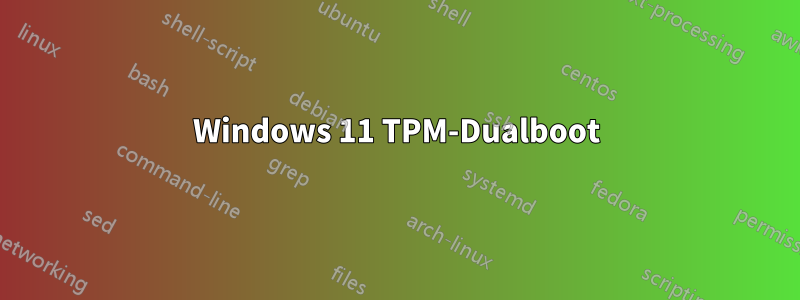 Windows 11 TPM-Dualboot