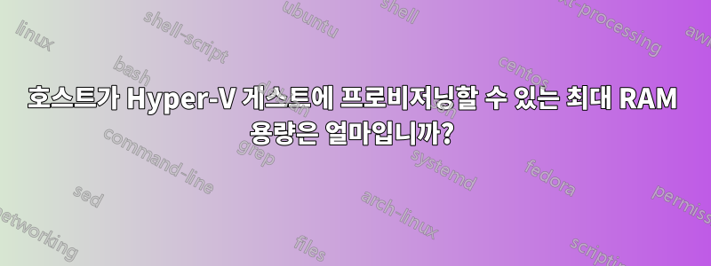 호스트가 Hyper-V 게스트에 프로비저닝할 수 있는 최대 RAM 용량은 얼마입니까?