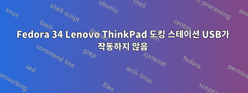 Fedora 34 Lenovo ThinkPad 도킹 스테이션 USB가 작동하지 않음