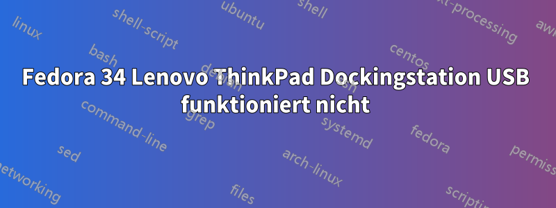 Fedora 34 Lenovo ThinkPad Dockingstation USB funktioniert nicht