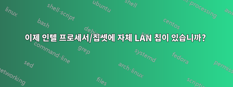 이제 인텔 프로세서/칩셋에 자체 LAN 칩이 있습니까?