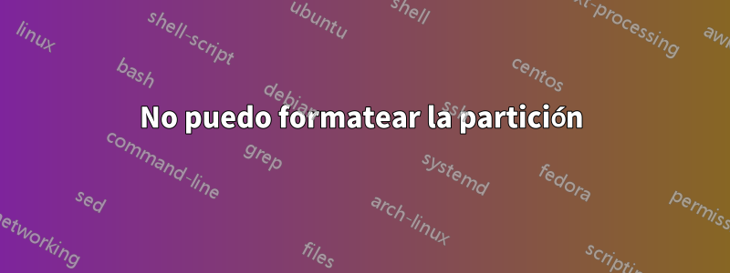 No puedo formatear la partición