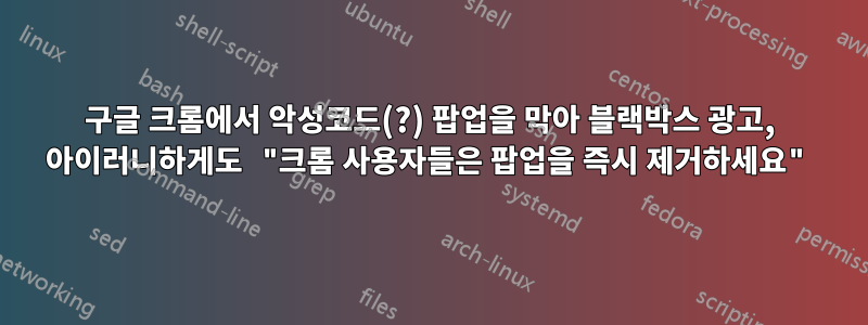 구글 크롬에서 악성코드(?) 팝업을 막아 블랙박스 광고, 아이러니하게도 "크롬 사용자들은 팝업을 즉시 제거하세요"