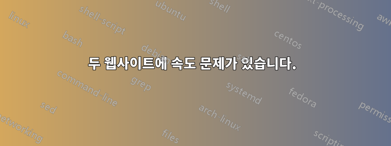 두 웹사이트에 속도 문제가 있습니다. 